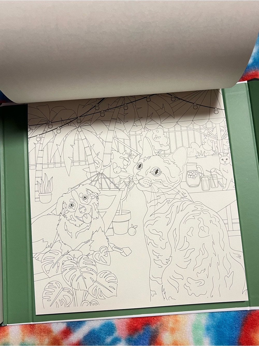 Pets in Color Creative Coloring Kit - Multicolor - Picture 7 of 12